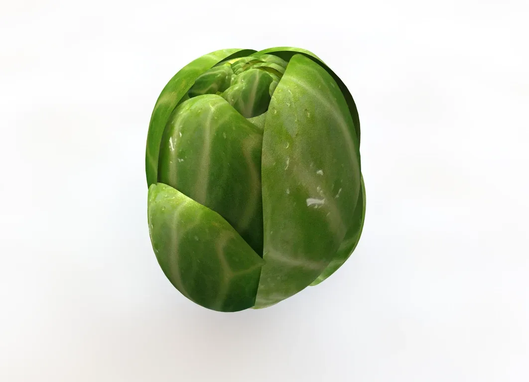 Brussels Sprouts 3d model