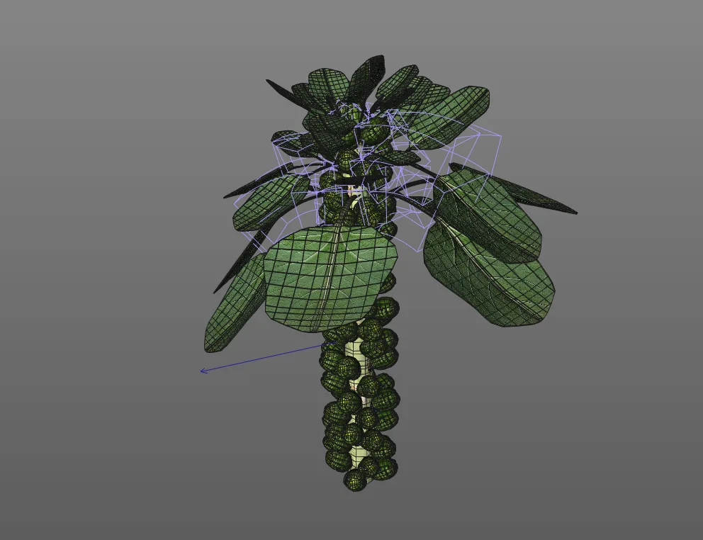 Brussels Sprouts Plant 3d model