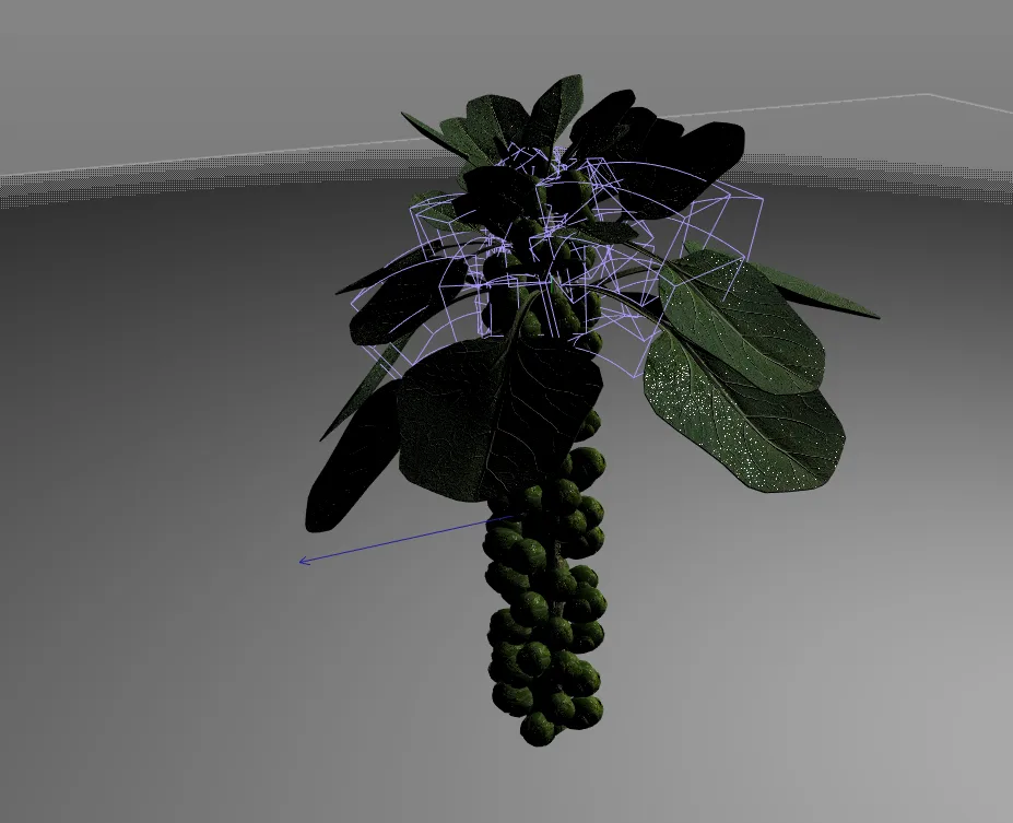 Brussels Sprouts Plant 3d model