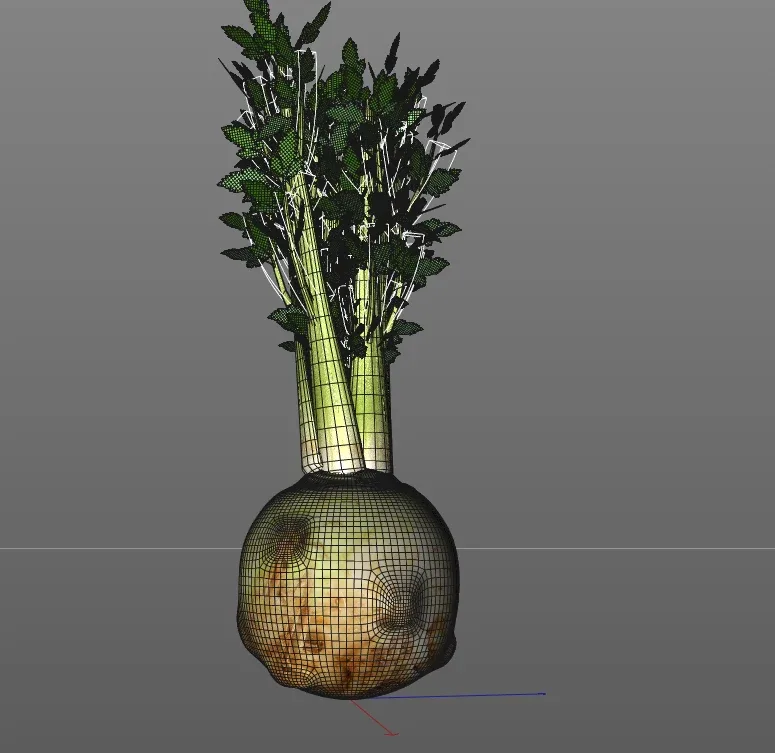 celery 3d model