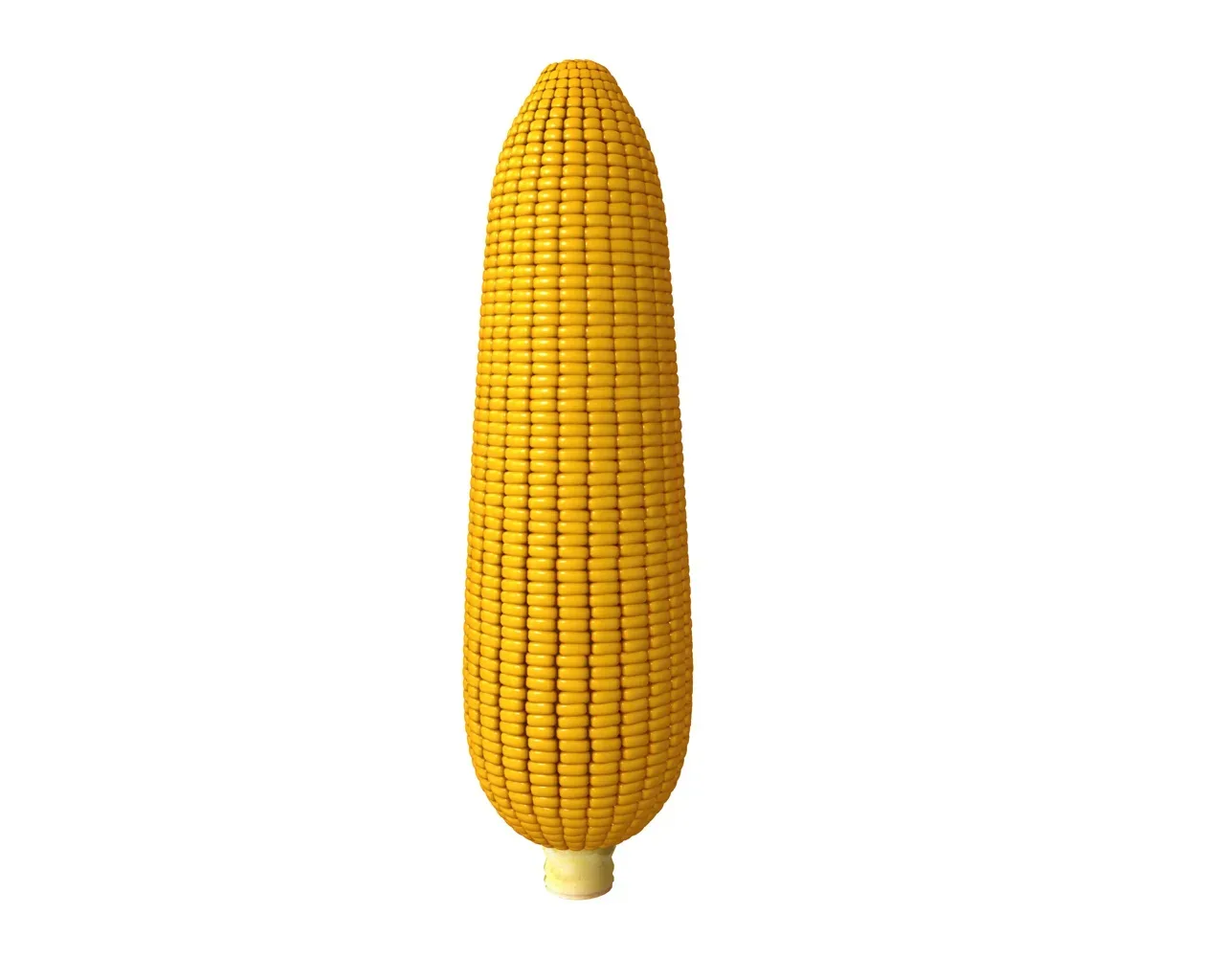 corn 3d model