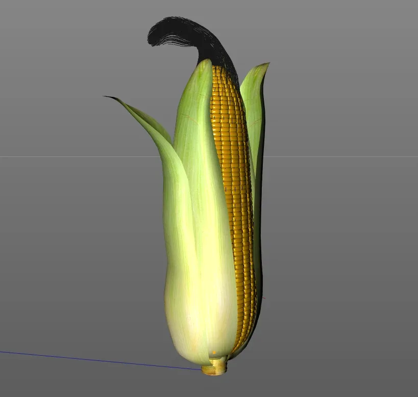 corn 3d model