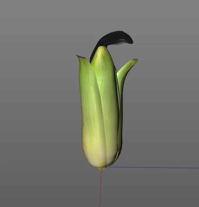 corn 3d model