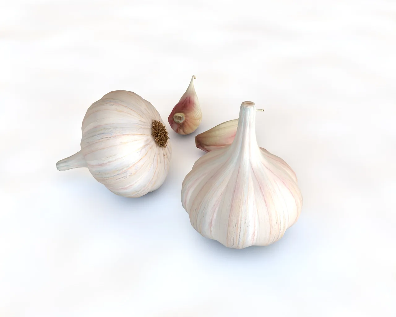 Garlic 3d model