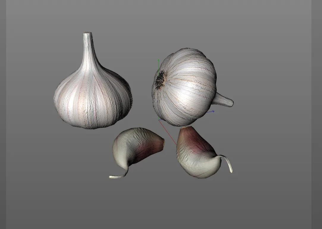 Garlic 3d model