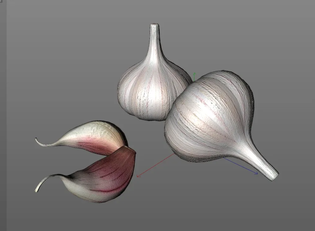 Garlic 3d model