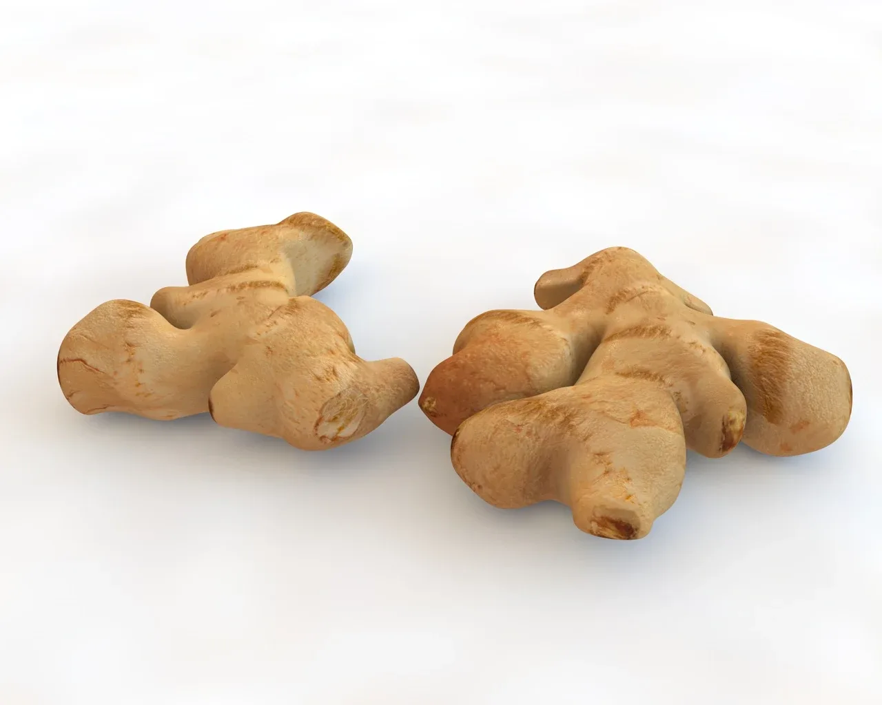 Ginger 3d model