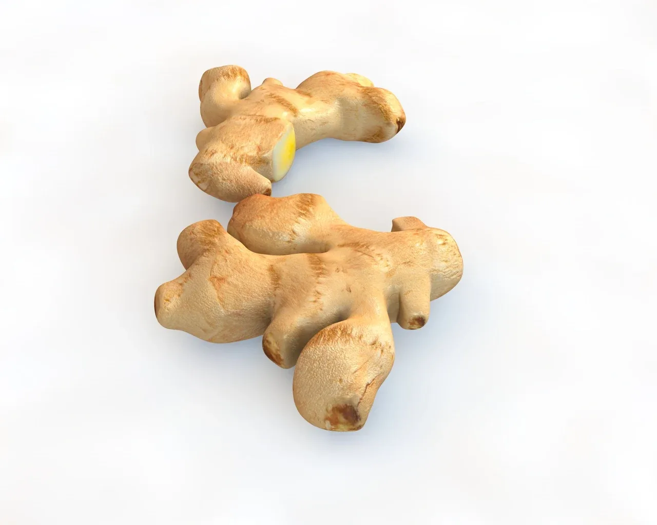 Ginger 3d model