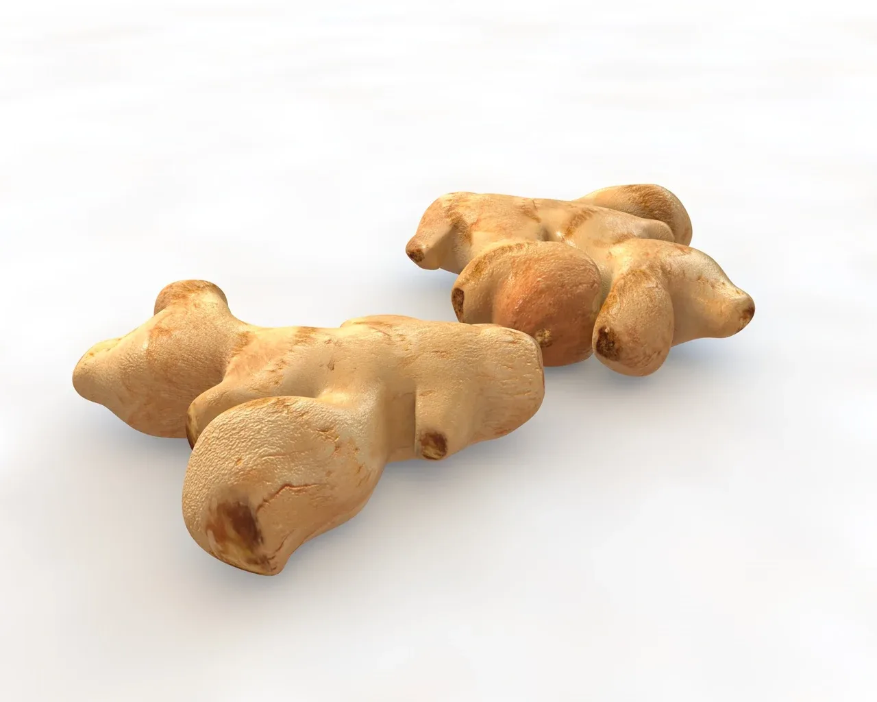 Ginger 3d model