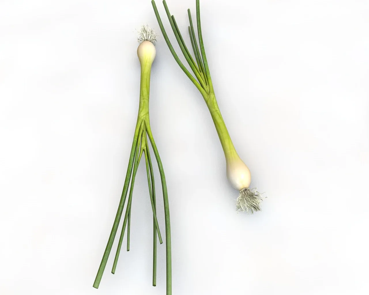 Green Onions 3d model