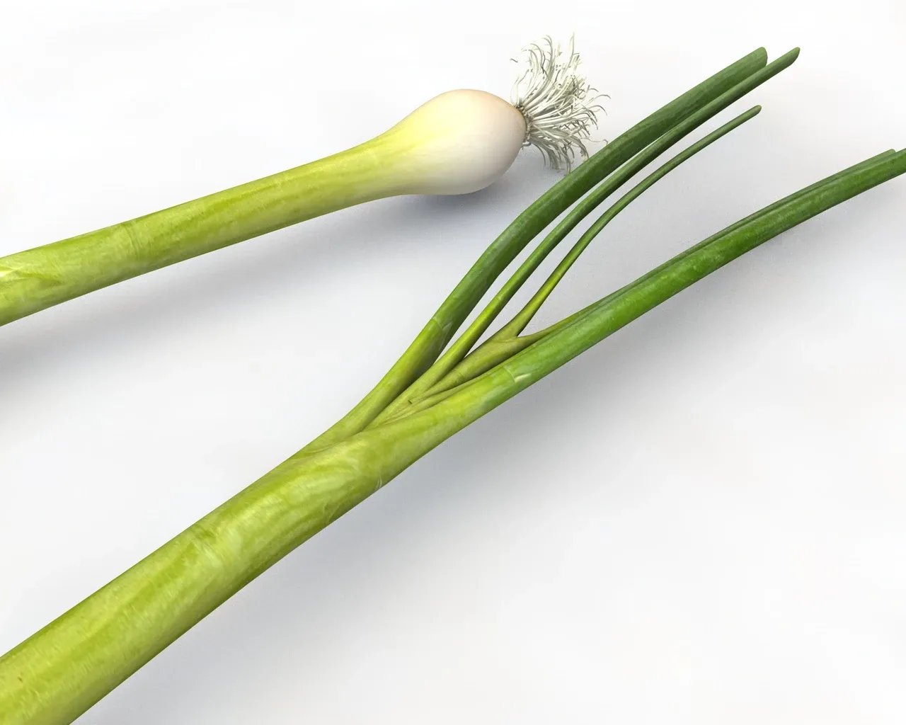 Green Onions 3d model