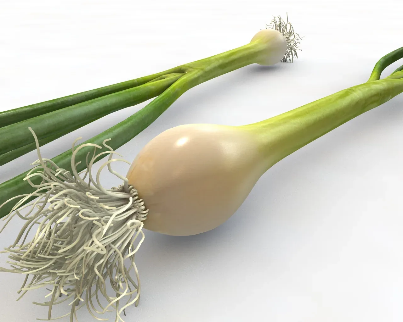 Green Onions 3d model