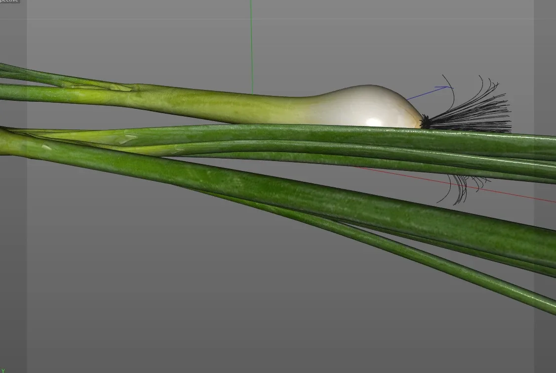 Green Onions 3d model