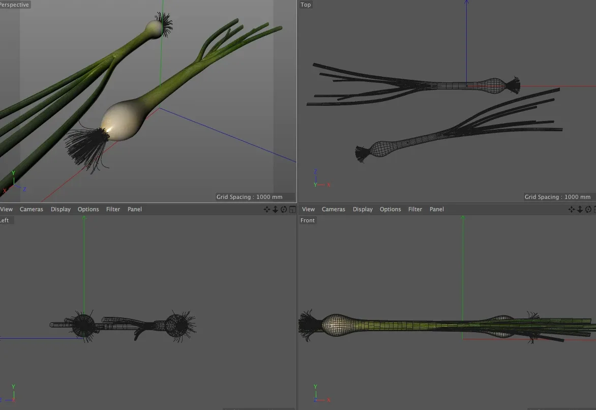 Green Onions 3d model