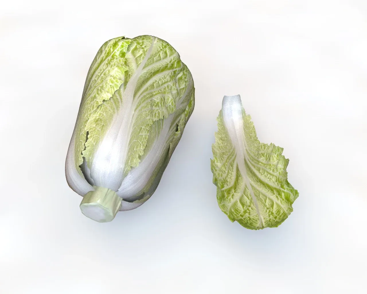 Kimchi napa cabbage 3d model