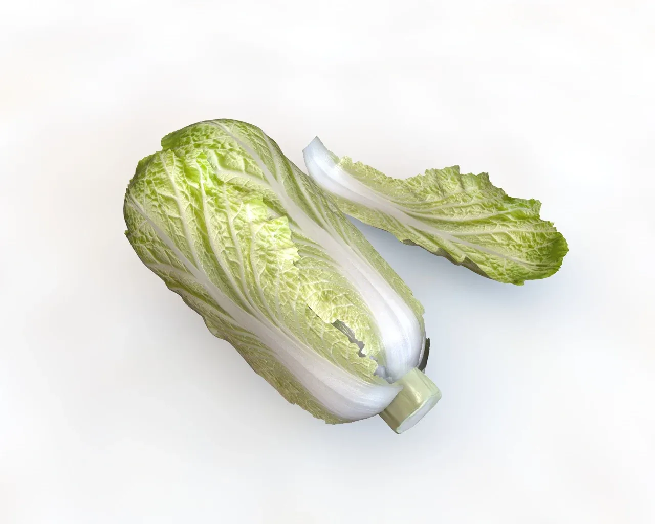 Kimchi napa cabbage 3d model