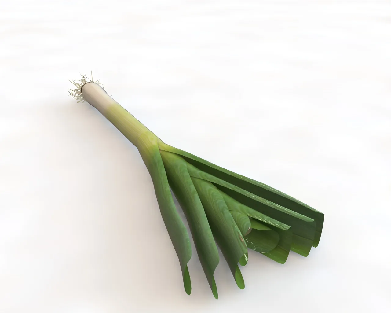 Leeks 3d model