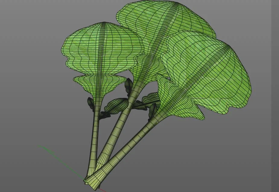 Mustard Greens 3d model