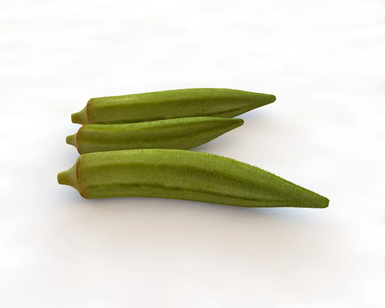 Okra Lady finger 3d model