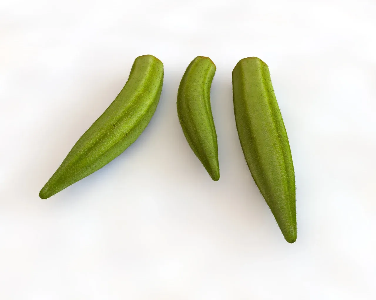 Okra Lady finger 3d model