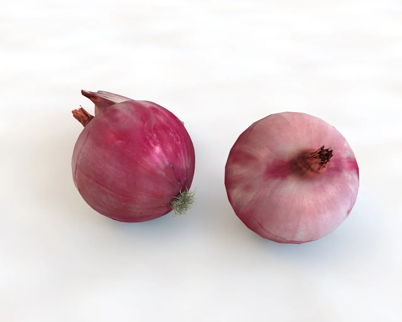 Onion Red 3d model