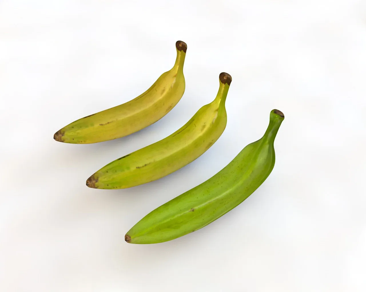 Plantain 3 types 3d model