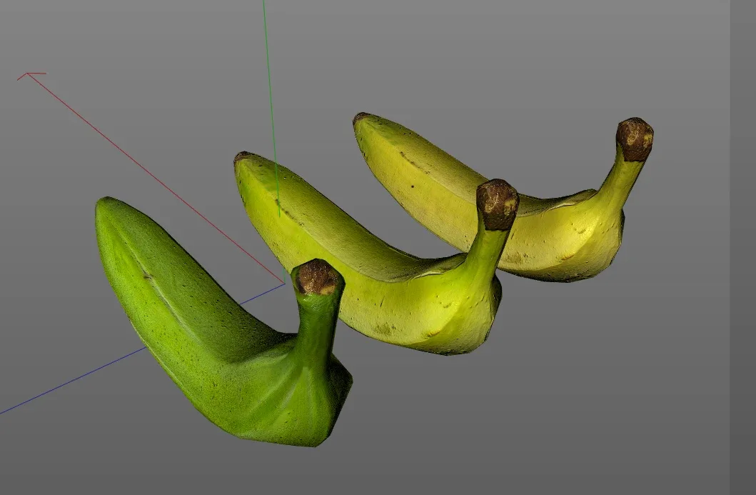 Plantain 3 types 3d model