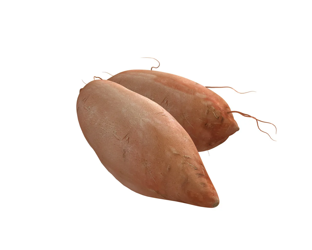 Sweet Potato Brown 3d model