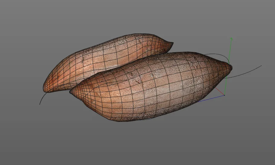 Sweet Potato Brown 3d model