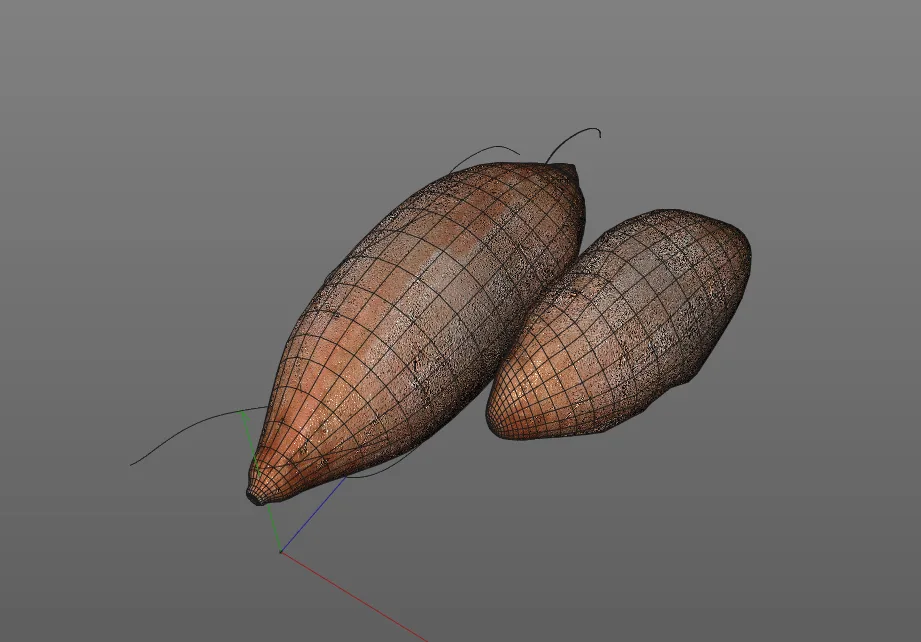 Sweet Potato Brown 3d model