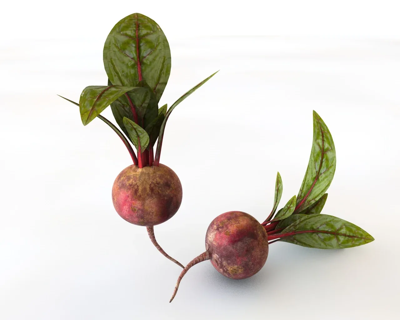 Vegetable callection 3d model