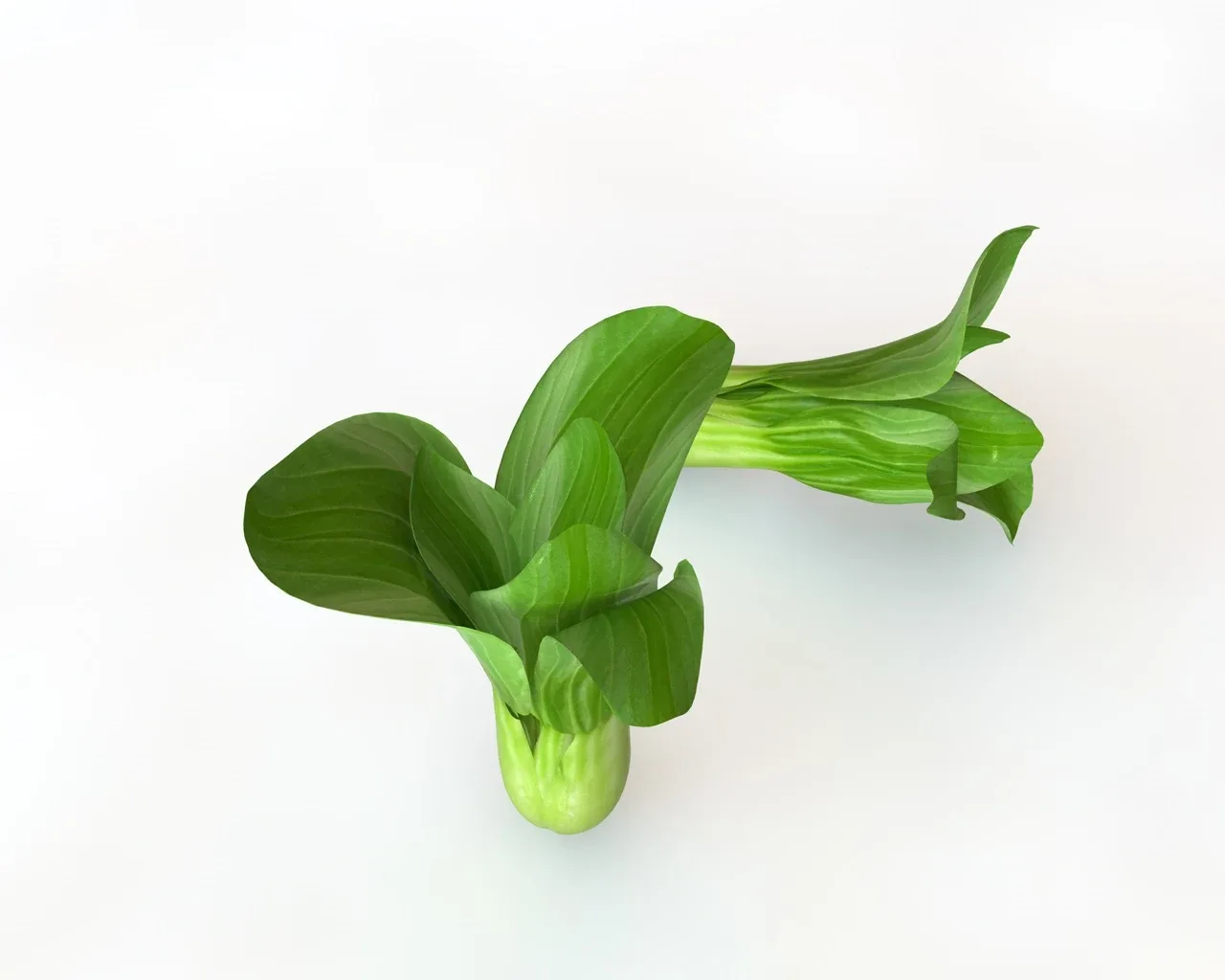 Vegetable callection 3d model