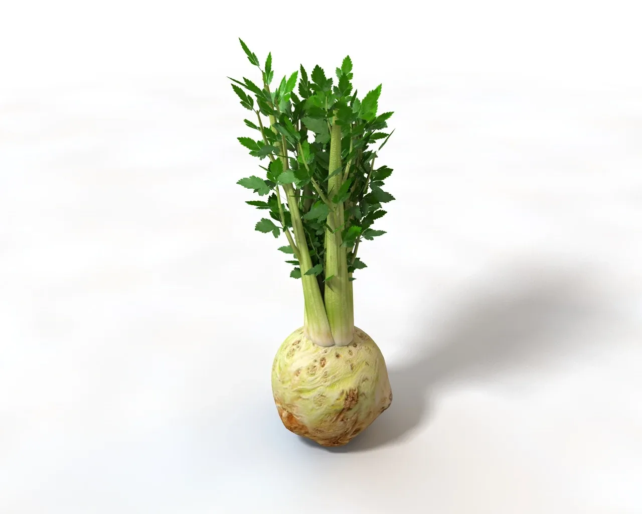 Vegetable callection 3d model
