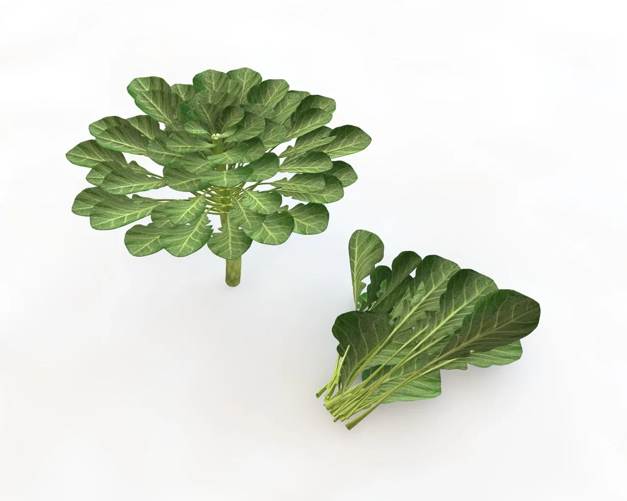 Vegetable callection 3d model
