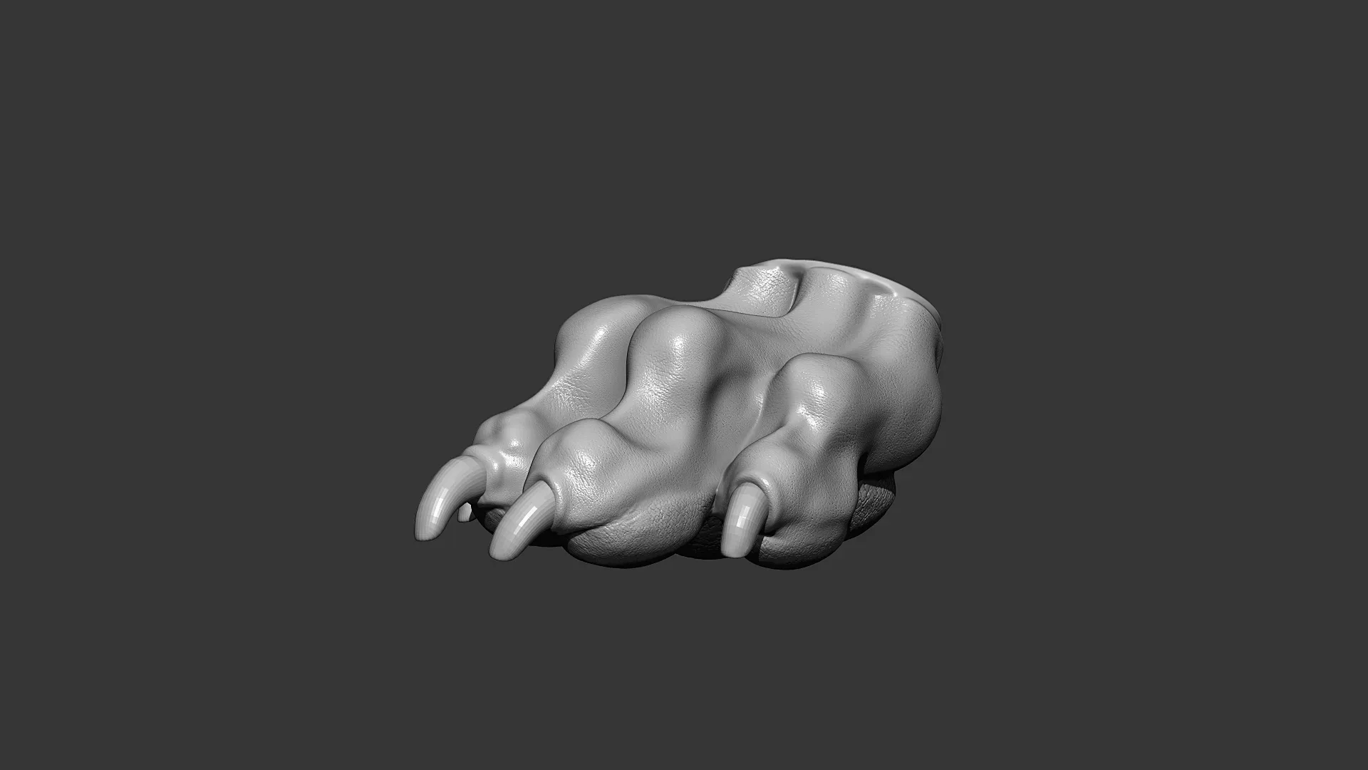 Dog Paw Highpoly Sculpt