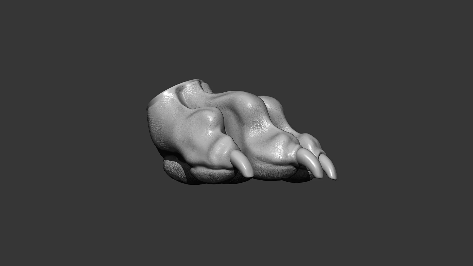 Dog Paw Highpoly Sculpt