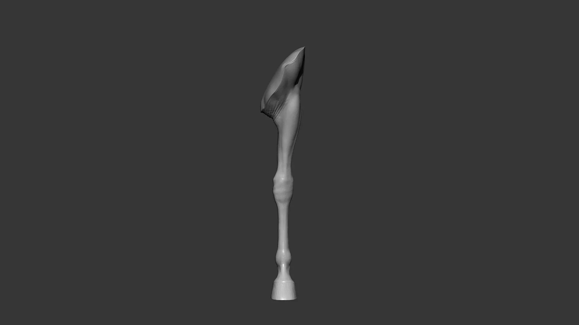 Horse Front Leg Highpoly Sculpt