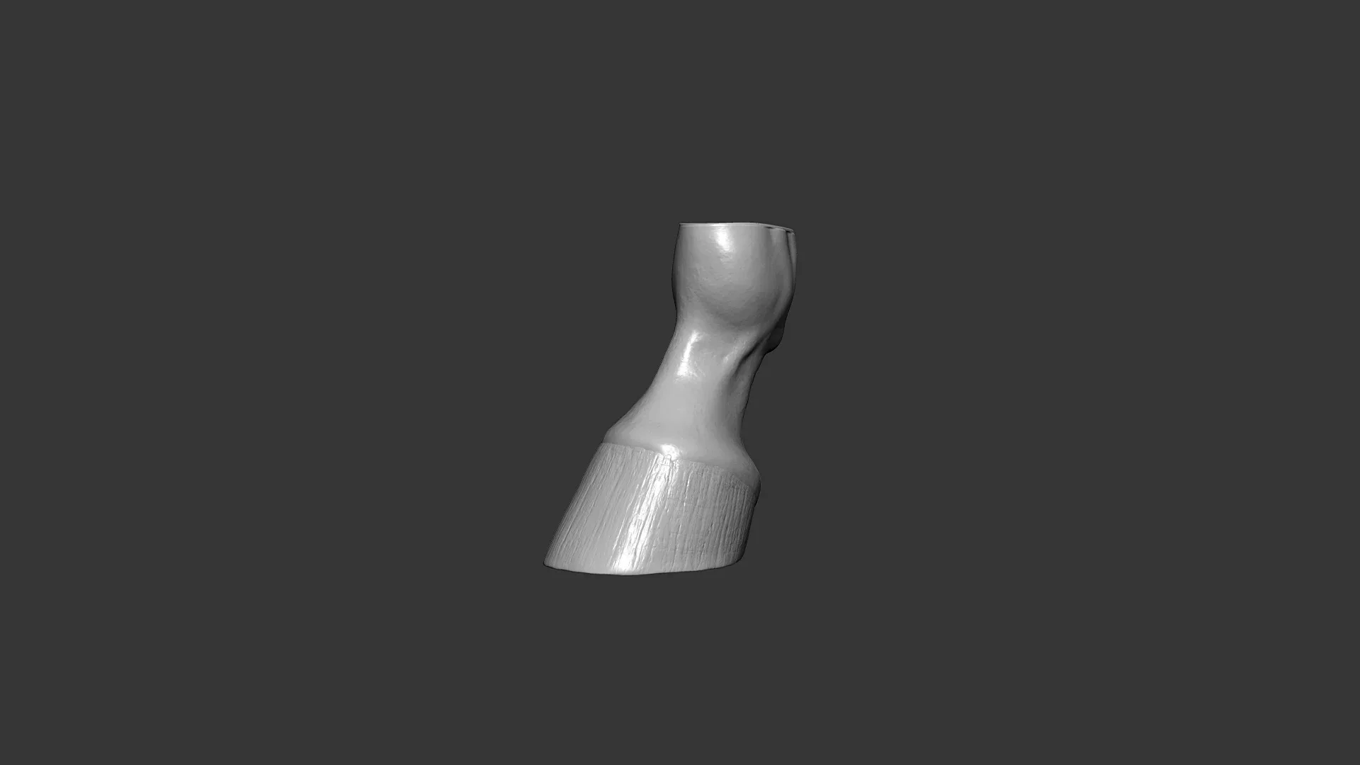 Horse Hoof Highpoly Sculpt