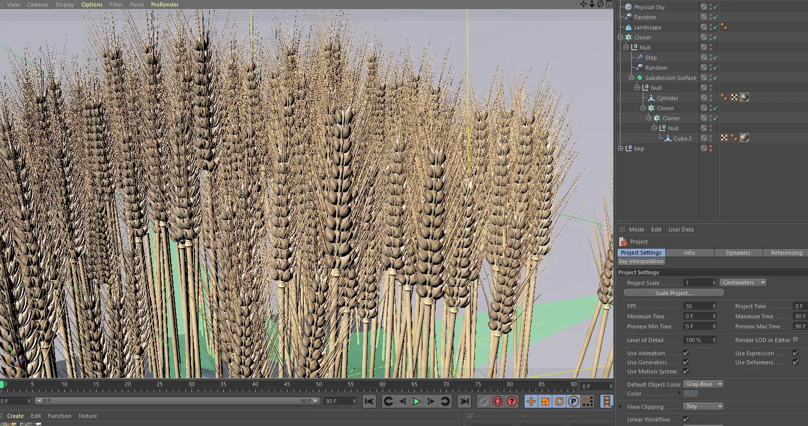 Wheat 3d model