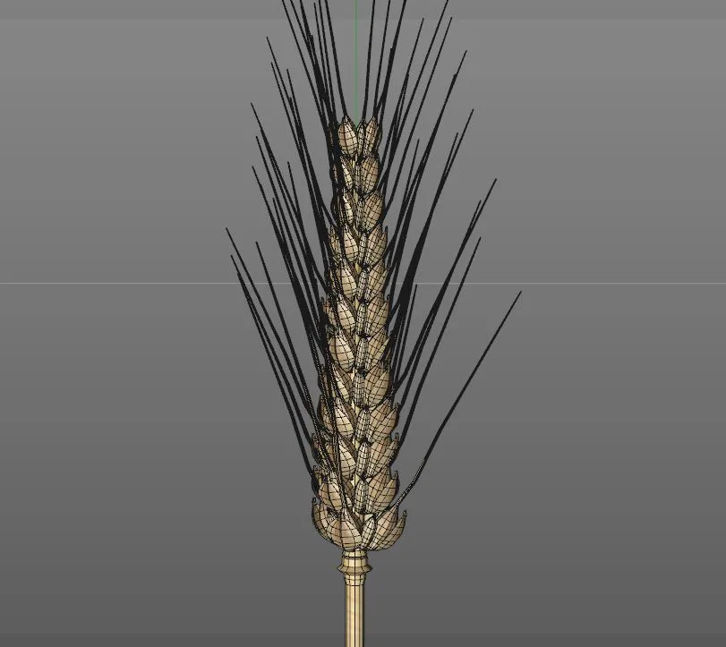 Wheat 3d model