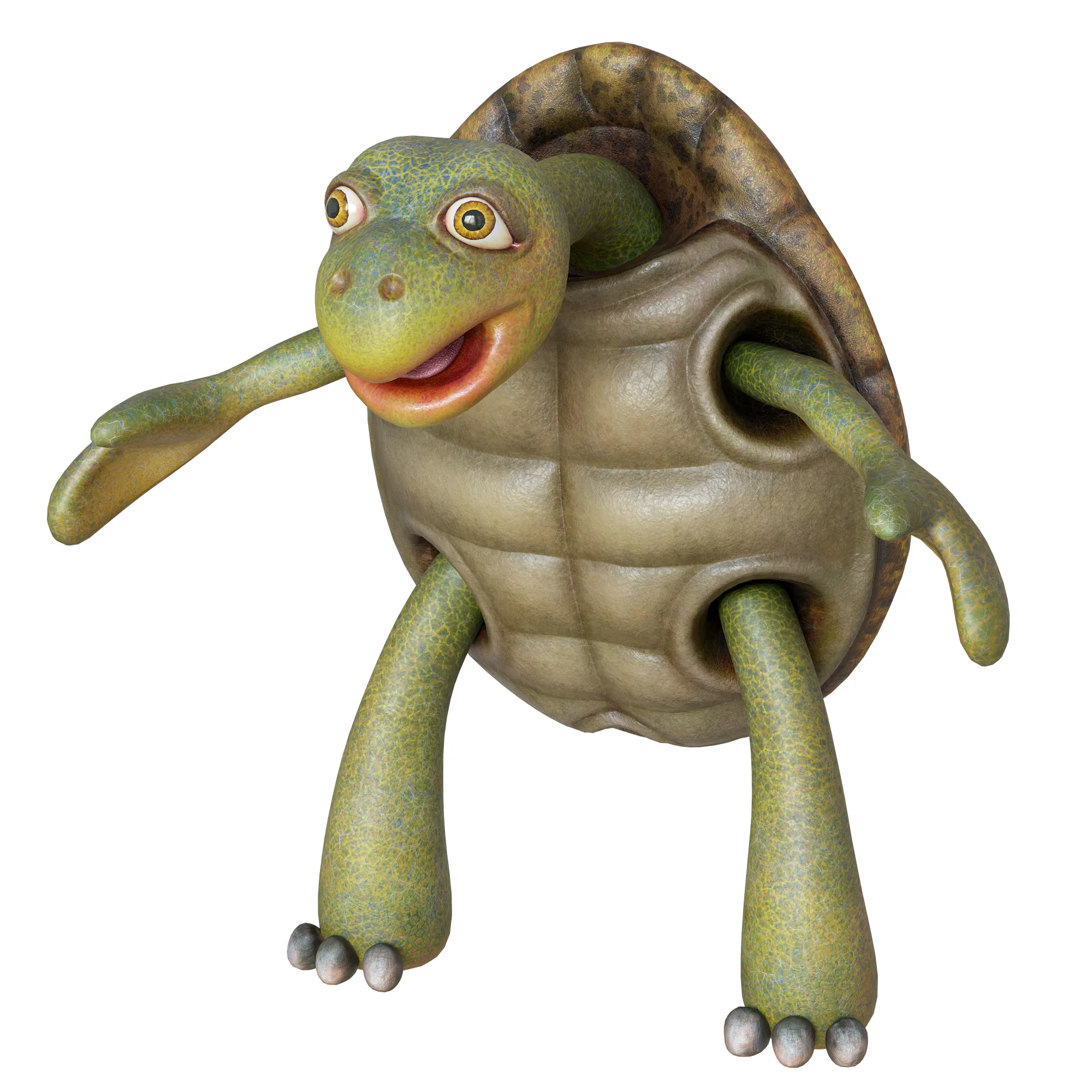 Cartoon Turtle