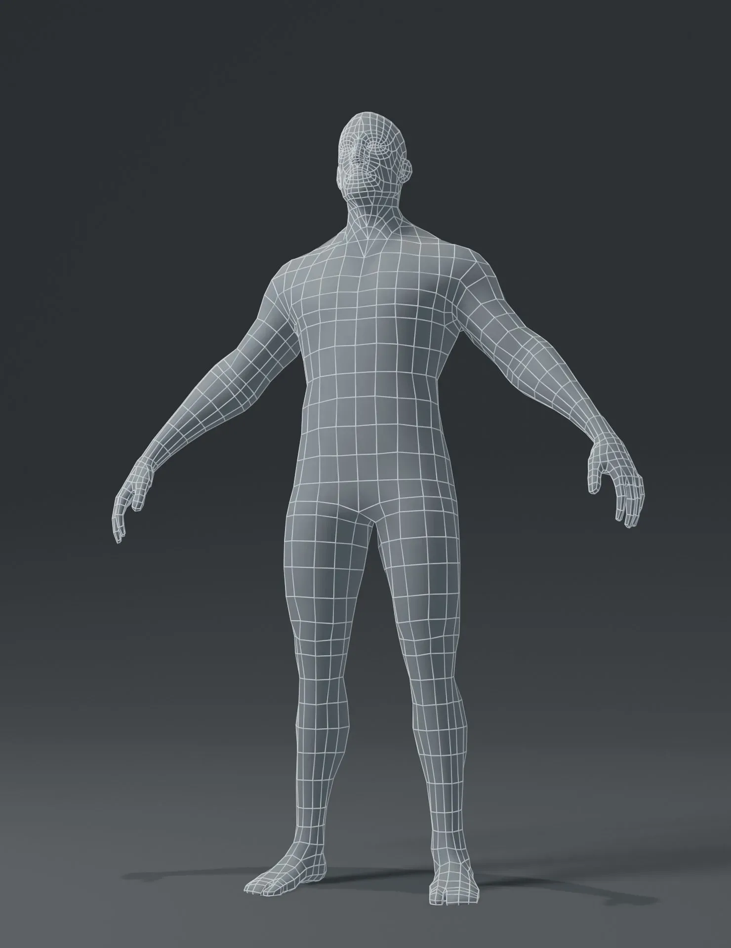 Male Body Base Mesh 3D Model