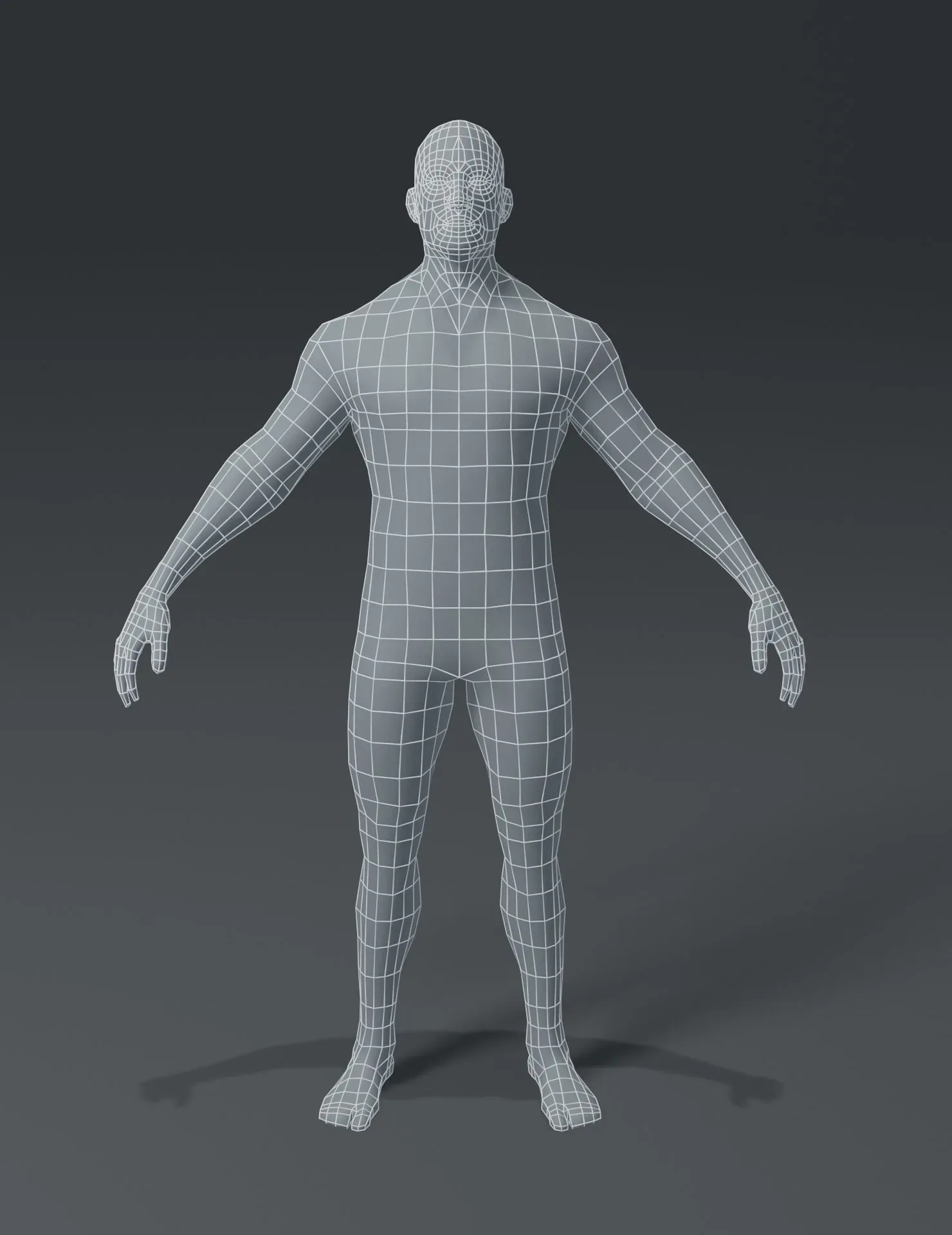 Male Body Base Mesh 3D Model