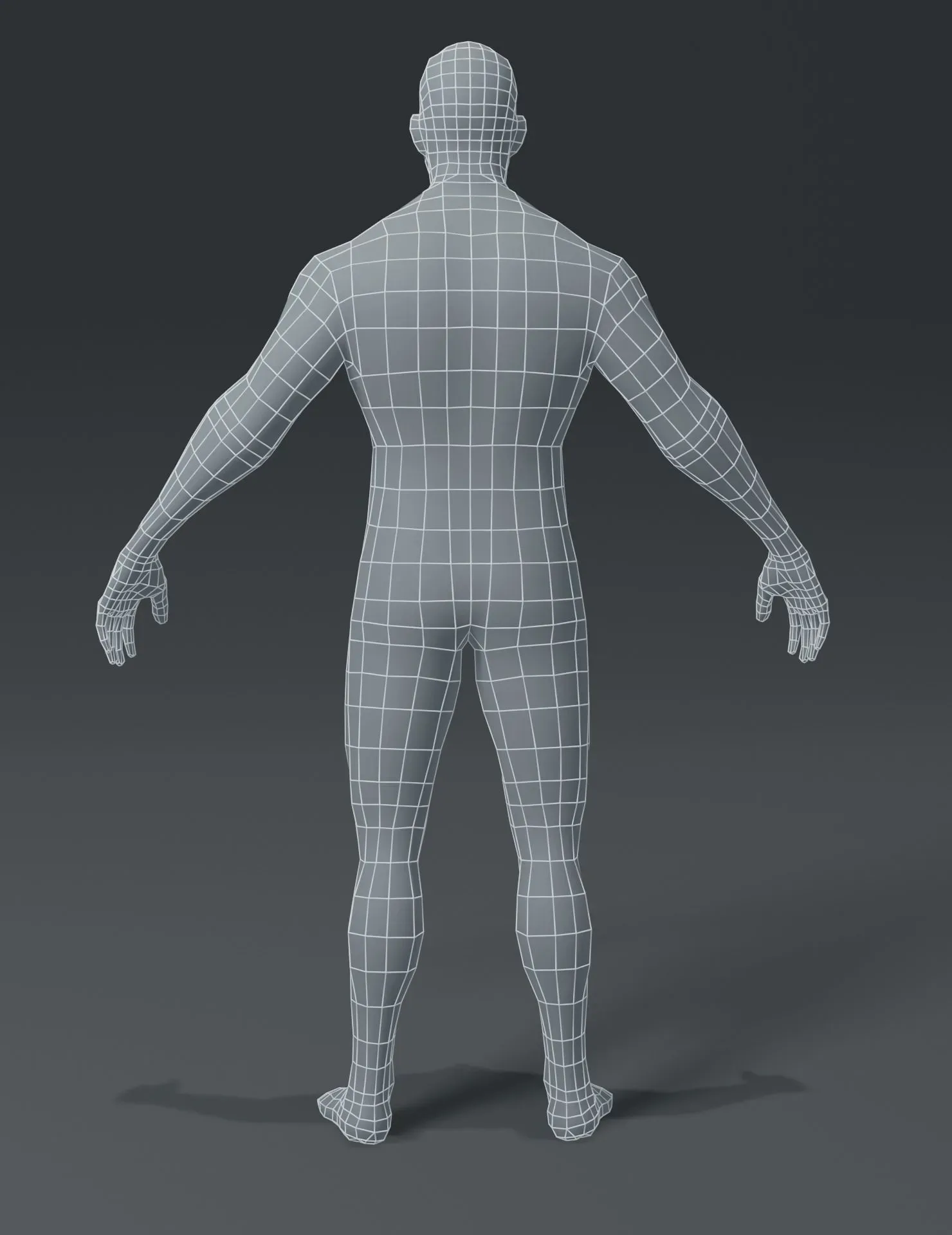 Male Body Base Mesh 3D Model