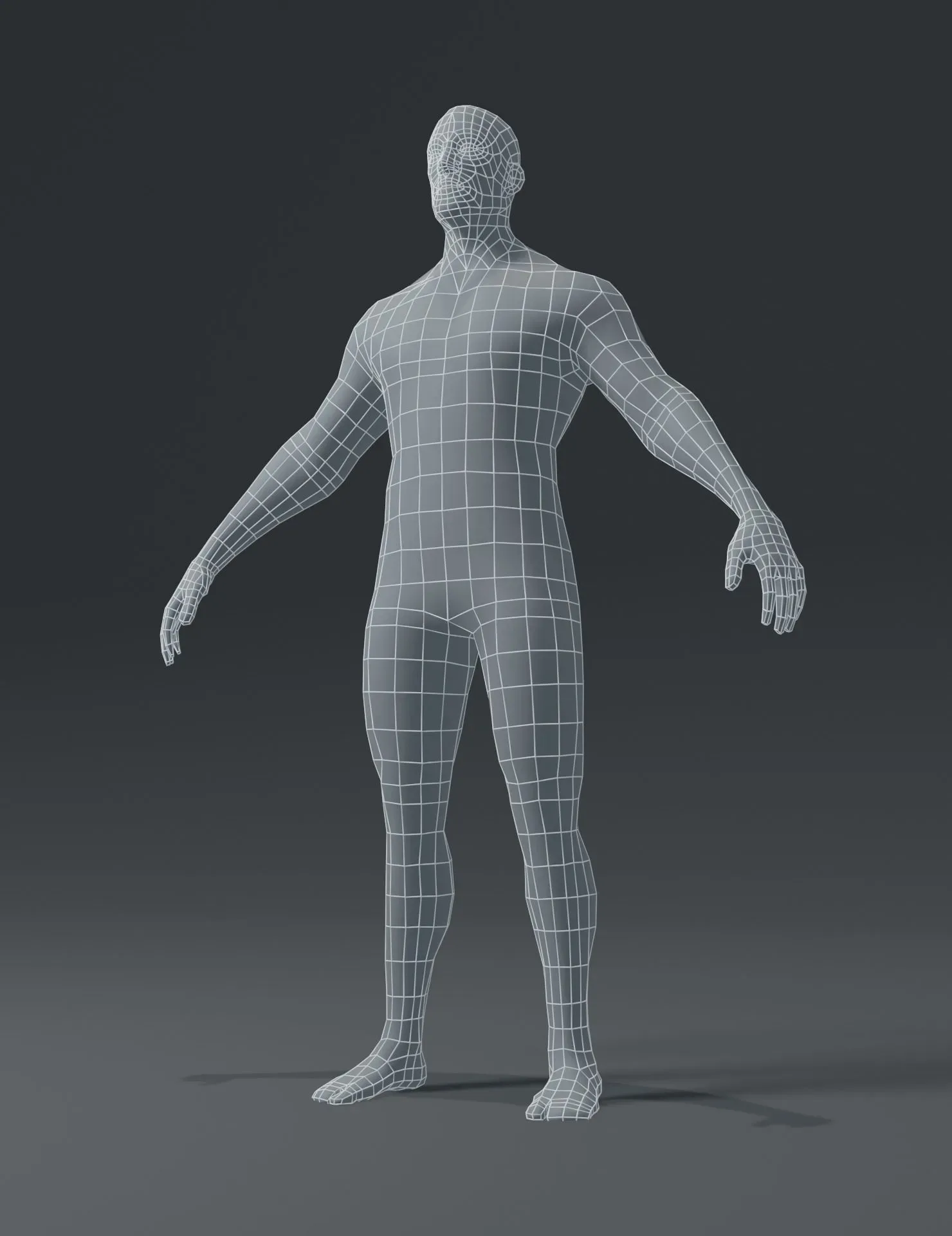 Male Body Base Mesh 3D Model