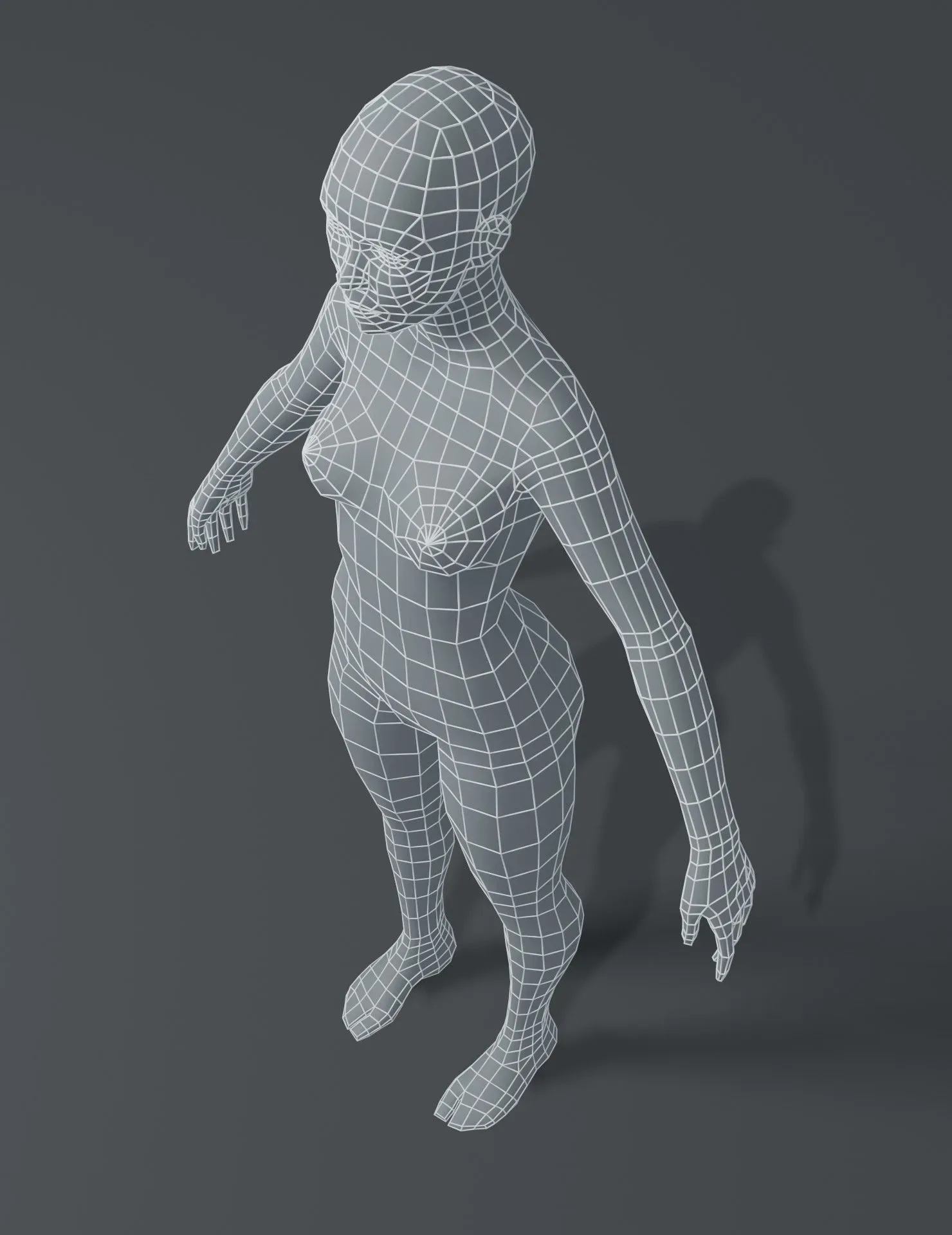 Female Body Base Mesh 3D Model