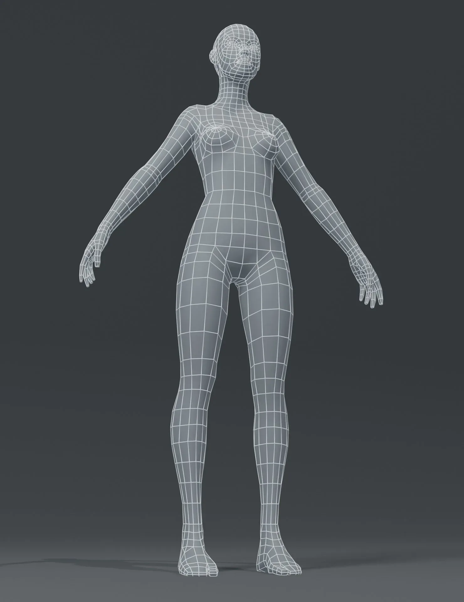 Female Body Base Mesh 3D Model