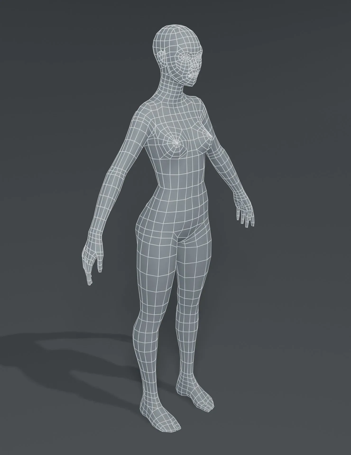 Female Body Base Mesh 3D Model