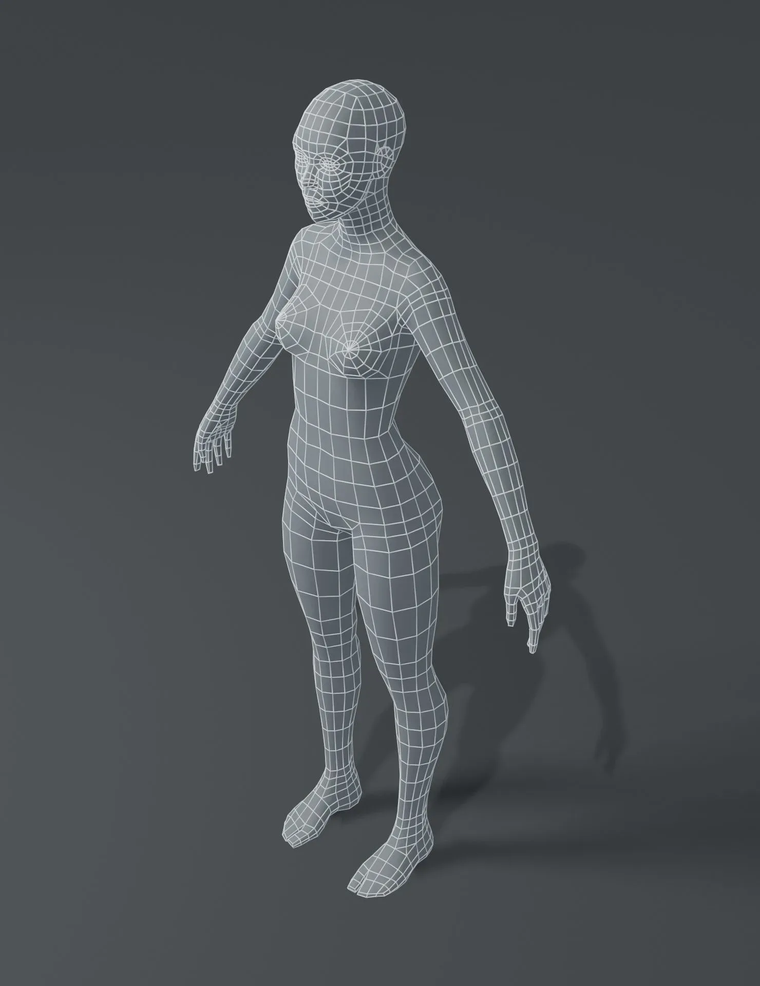 Female Body Base Mesh 3D Model