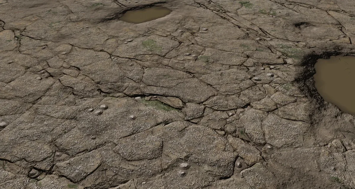 Wet Rock Texture